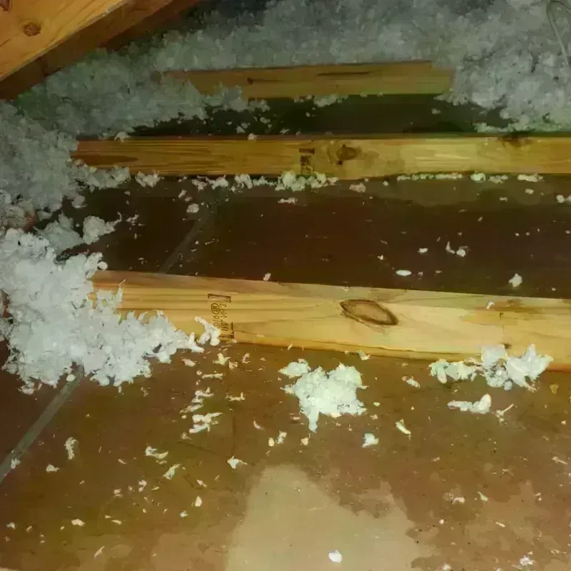 Attic Water Damage in Lansing, KS