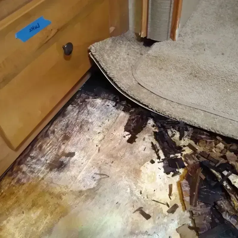 Wood Floor Water Damage in Lansing, KS